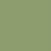 Пиастрелла МОНОКОЛОР напольная полированная-ретификат МС 606 светло-зеленый 600*600*10,5