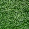 Искусственная трава WUXI SALG 2516, высота ворса 23 мм 4 м (цена при покупке целого рулона )