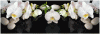 Акватон Интерьерная панель "Белая Орхидея" 695*2070*3