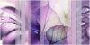 «Коллаж» Декор на белом фиолетовая 500*249 ВС9КЛ003